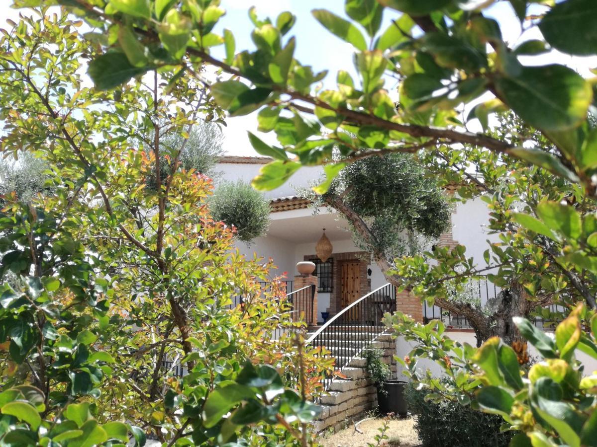Burguillos de ToledoCasa Rural La Amistad别墅 外观 照片