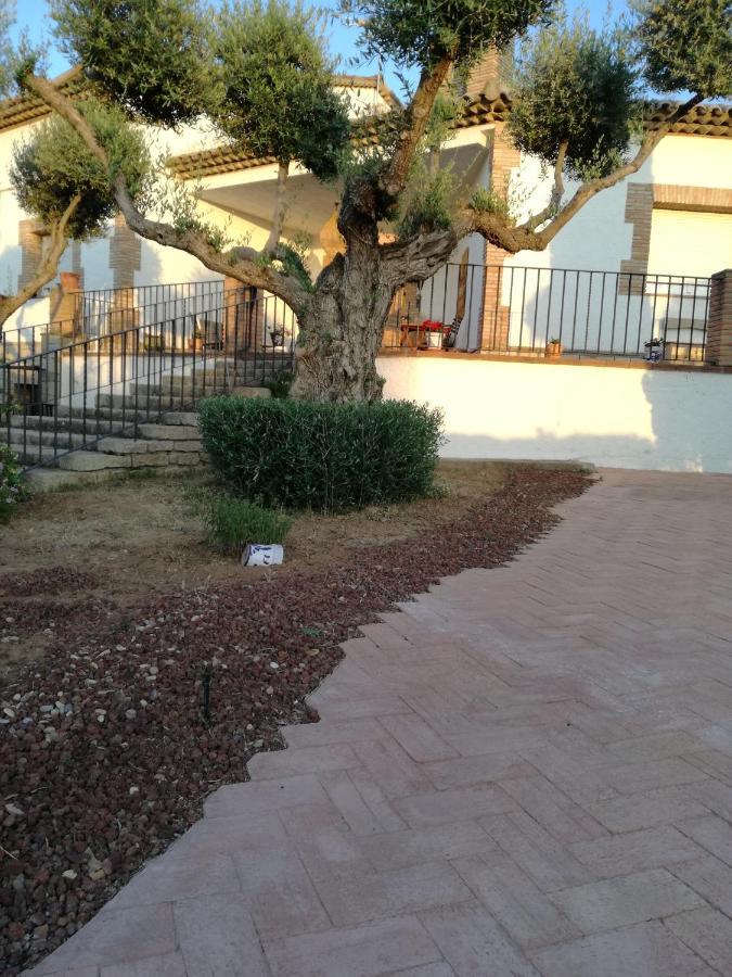 Burguillos de ToledoCasa Rural La Amistad别墅 外观 照片