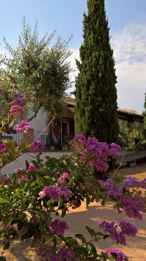 Burguillos de ToledoCasa Rural La Amistad别墅 外观 照片