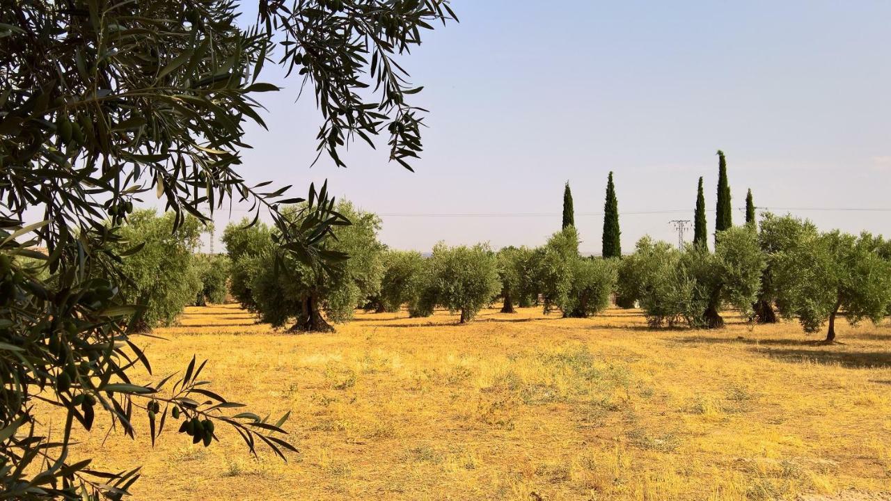 Burguillos de ToledoCasa Rural La Amistad别墅 外观 照片